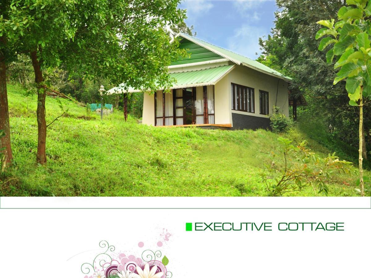 Punarjani Ayurvedic Resorts Ramakkalmedu Kültér fotó