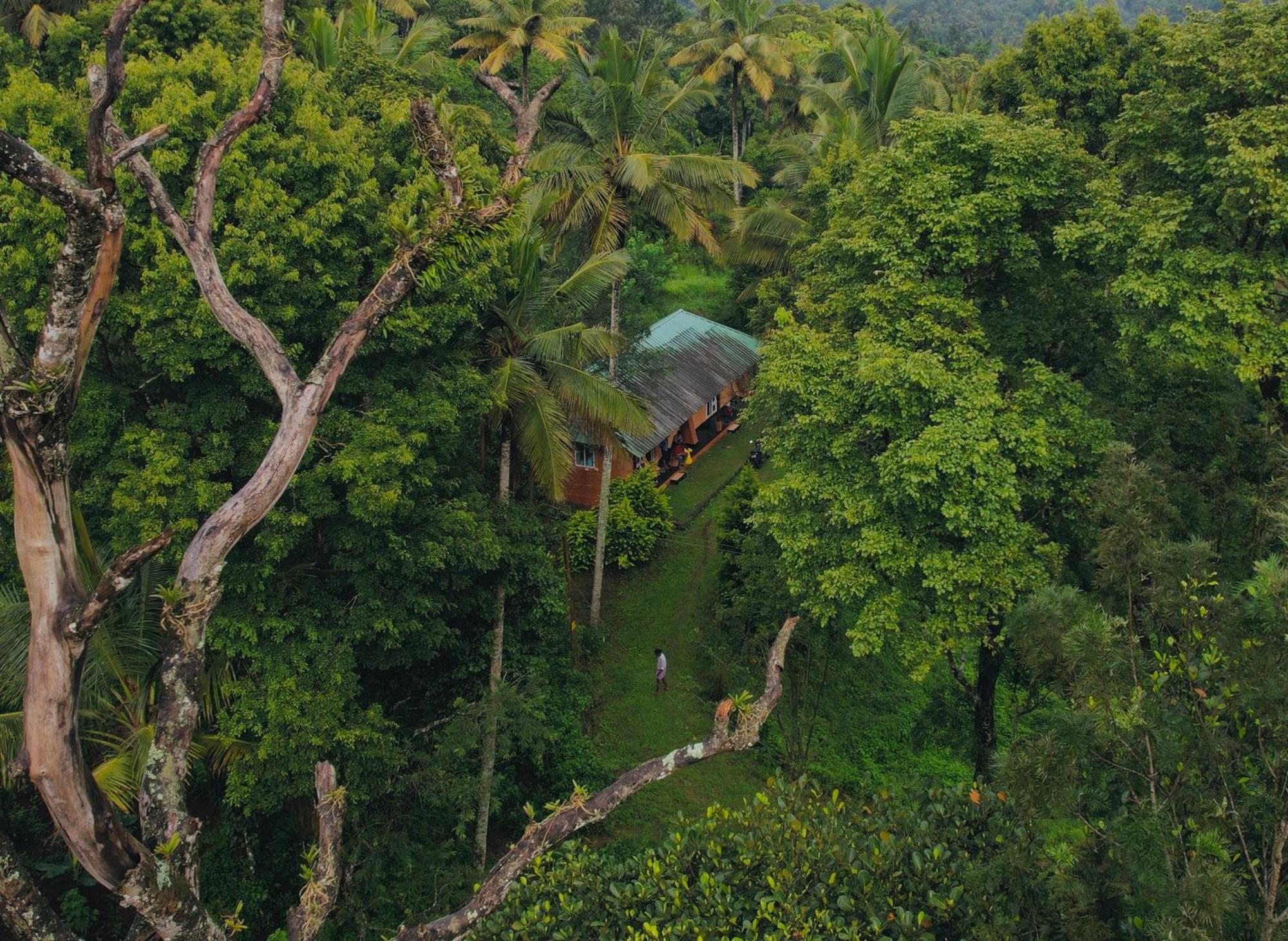 Punarjani Ayurvedic Resorts Ramakkalmedu Kültér fotó