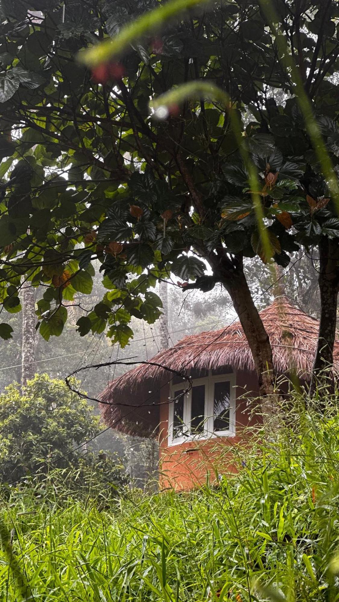 Punarjani Ayurvedic Resorts Ramakkalmedu Kültér fotó