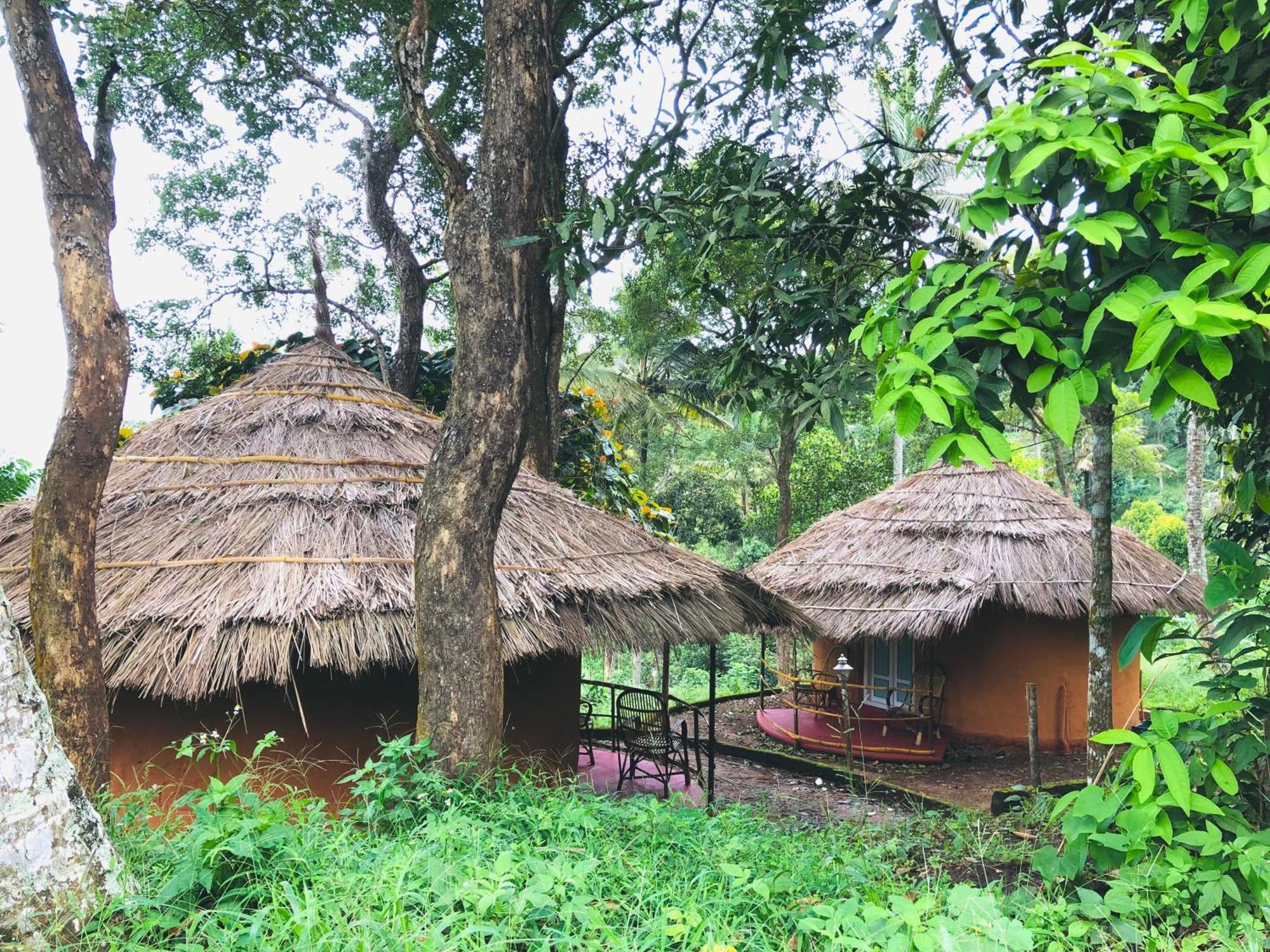 Punarjani Ayurvedic Resorts Ramakkalmedu Kültér fotó